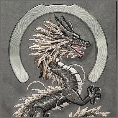 8. Nimmy Dragon MagSafe Case for iPhone 16 Pro - Gray