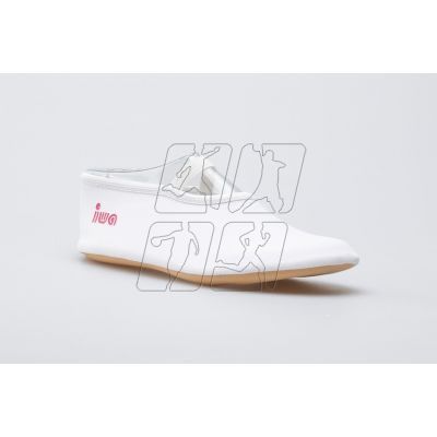 5. Gymnastic ballet shoes IWA 250 4052964042004