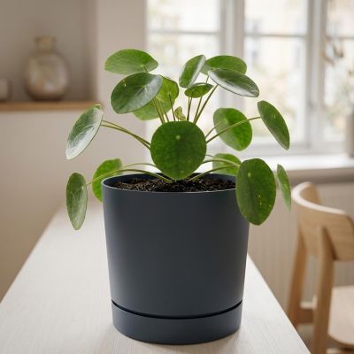 3. TUBO P ANTHRACITE FLOWER POT 20CM