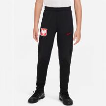 Pants Nike Poland Strike Jr DM9600-010