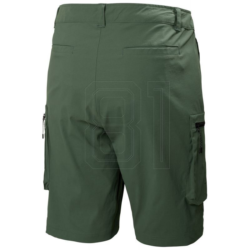 6. Helly Hansen Move Qd Shorts 2.0 M 53977 476