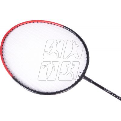 4. Techman badminton set