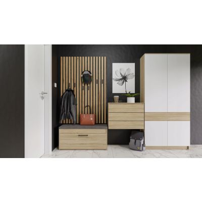 3. Shoe cabinet with storage PARMA 100x35xH49 sonoma