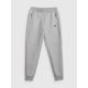 9. Men's jogger sweatpants 4F 4FRMM00TTROM1623-27M