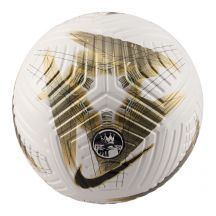 Nike Premier League Club Elite FQ4967-106 ball