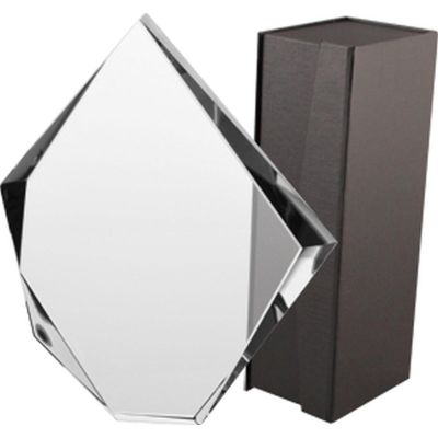 3. Glass trophy with case