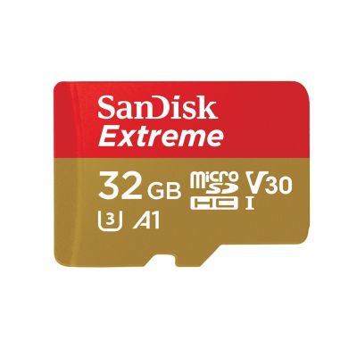 Sandisk microSDHC Action