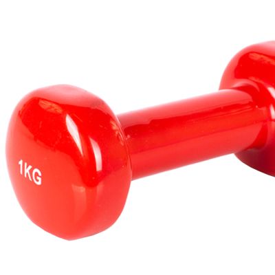 61. PROfit vinyl dumbbell 0.5kg DK 4102