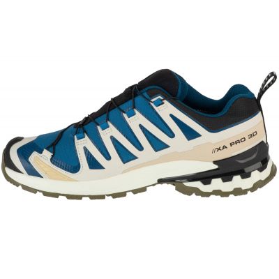 2. Salomon XA Pro 3D v9 GTX M L47817400 Running Shoes