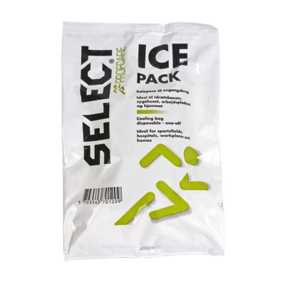 2. Select Ice Pack 0755