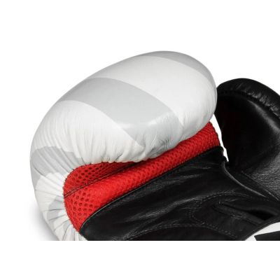 10. 10oz Boxing Gloves - Japan - Valor Series
