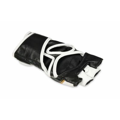 4. MMAM Gloves - Verdict - LegacySeries