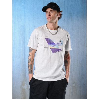 Men's T-shirt 4F 4FRSS26TTSHM3661-10S