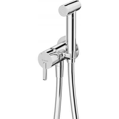 Concealed bidet tap