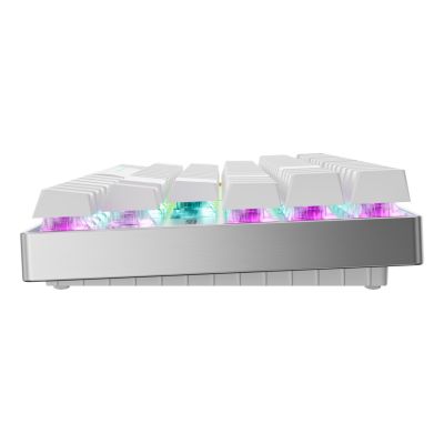 4. CHERRY MX 8.2 Pro TMR Wireless Gaming Keyboard USB + RF Wireless + Bluetooth QWERTZ German Silver, White