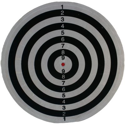 15. OUTDOOR CARDBOARD DART 45CM AND 6 ENERO DARTS