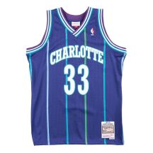 Mitchell & Ness NBA Charlotte Hornets Alonzo Mourning Swingman T-shirt - SMJYAC18010-CHOPURP94AMO