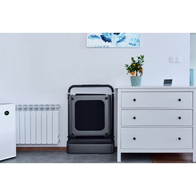 17. Kingsmith WalkingPad TRR1F R1 Sports Treadmill