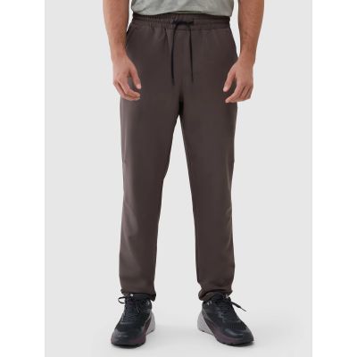 Men's quick-drying training pants 4F 4FWSS25TFTRM0781-81S