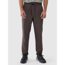 Men's quick-drying training pants 4F 4FWSS25TFTRM0781-81S