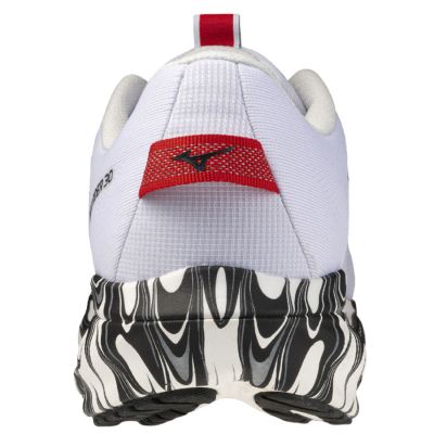 4. Mizuno WAVE RIDER 30 Disclosure shoes J1GU262381