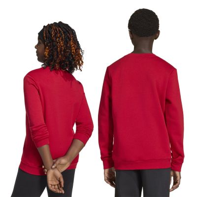 2. adidas Entrada 26 Sweat Top red JZ6556