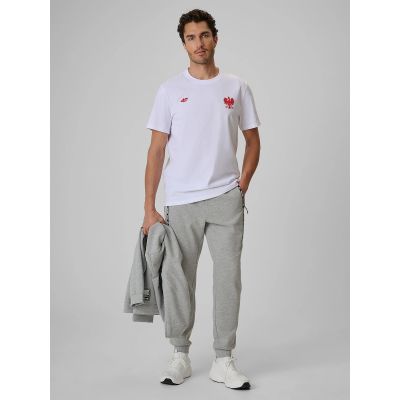 3. Men's cotton fan T-shirt 4F 4FRSS26TTSHM4203-10S