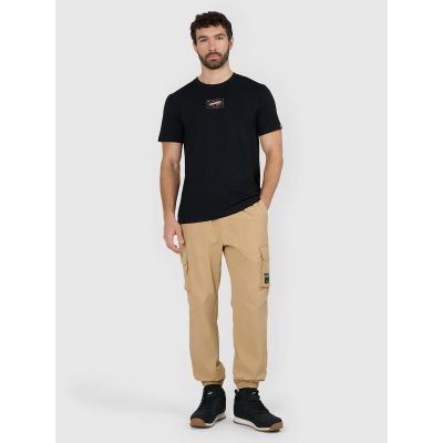 4. Men's regular printed T-shirt 4F 4FRAW25TTSHM3377-20S