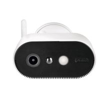 ABUS PPIC91520 Industrial Camera IP Security Camera Indoor/Outdoor Wall