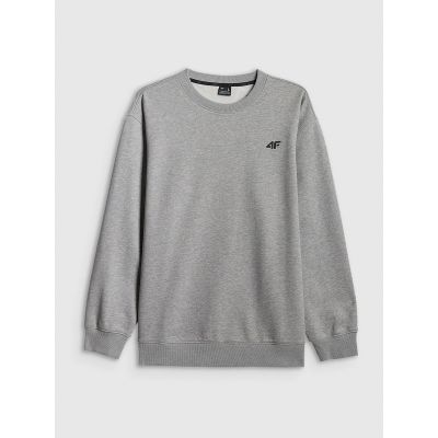 7. Men's regular sweatshirt without hood 4F 4FRMM00TSWSM3059-27M