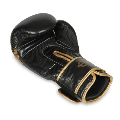9. 10oz Boxing Gloves - Aureos - Valor Series