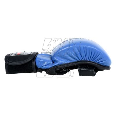 6. Masters MMA gloves GFS-10 0110-02M