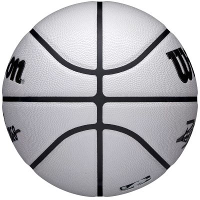 4. Wilson NBA Player Icon Uv Bskt Lebron Basketball WZ4030501XB