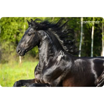 10. Esperanza Photo Mix Mouse Pad EA133