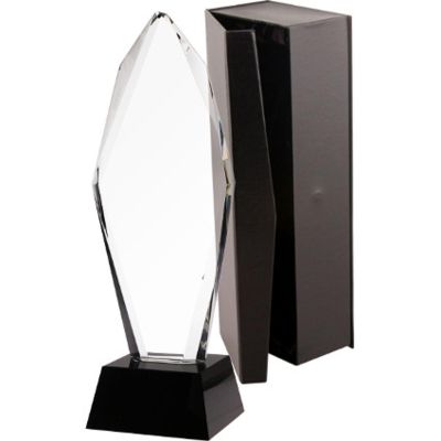 8. Glass trophy with case