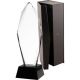8. Glass trophy with case