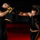 17. Multi-layer boxing gloves - ProFighter Gold - Legacy Series
