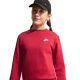 3. Nike Sportswear Club Fleece Kids' Sweatshirt Red FD3006 608