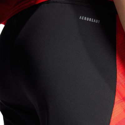 12. Adidas Tiro 24 Competition 1/2 M shorts IR5491