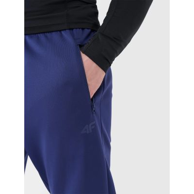 4. Men's quick-drying training pants 4F 4FWSS25TFTRM0836-30S