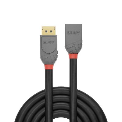 3. Lindy 36498 DisplayPort Cable 3m Black