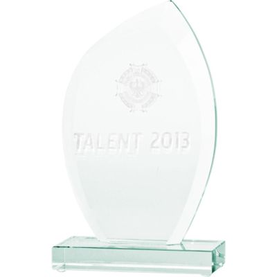 6. 3D engraved glass trophy with case