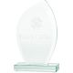 6. 3D engraved glass trophy with case