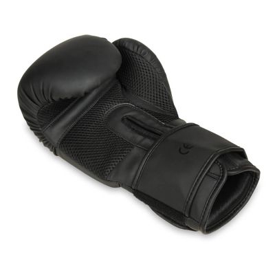 24. 10oz Boxing Gloves - Black Master - Valor Series