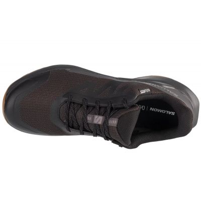 3. Salomon Elixir Tour WP M 475767 shoes