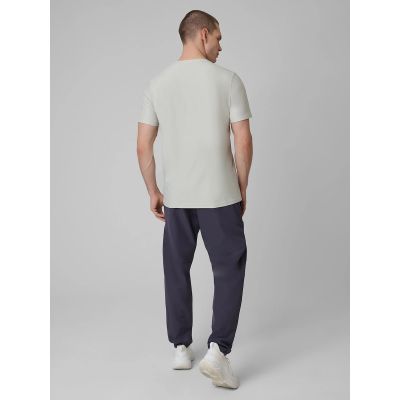 2. Men's quick-drying training pants 4F 4FRSS26TFTRM1411-23S