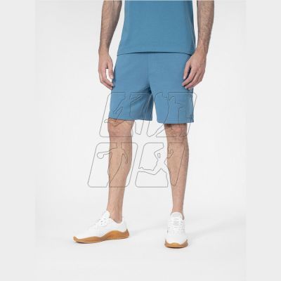 5. Shorts 4F M 4FSS23TSHOM055 33S