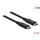2. DeLOCK USB4 Cable 20 Gbps 2 m