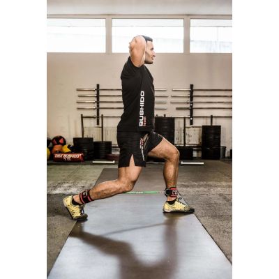 6. Set of Handles for Training Bands - ARW-753 DBX BUSHIDO