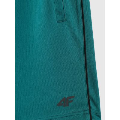 8. Boys' quick-drying sports shorts 4F 4FJRSS26TFSHM1693-46S